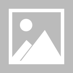 九游APP-新科FMVP扫阴霾！三分11中5轰22+5+6断 全场球迷为杨舒予欢呼